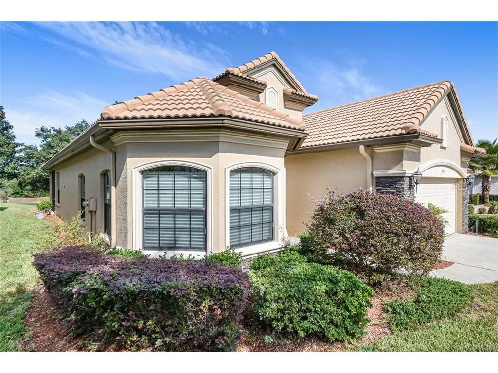 1099 Skyview Crossing Hernando FL 34442 G5090017 image1