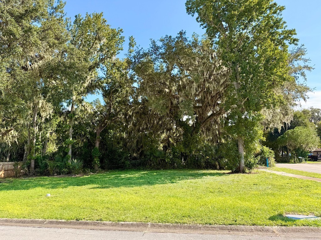 1099 Yaupon Street Daytona Beach FL 32117 NS1086305 image3