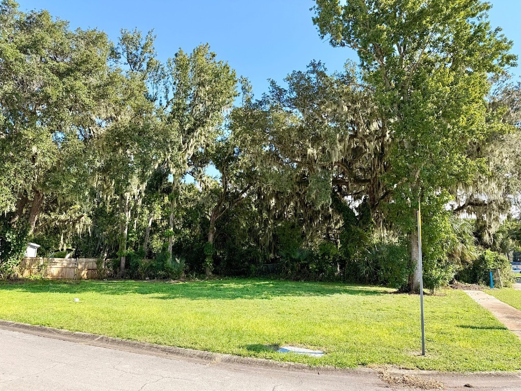 1099 Yaupon Street Daytona Beach FL 32117 NS1086305 image4