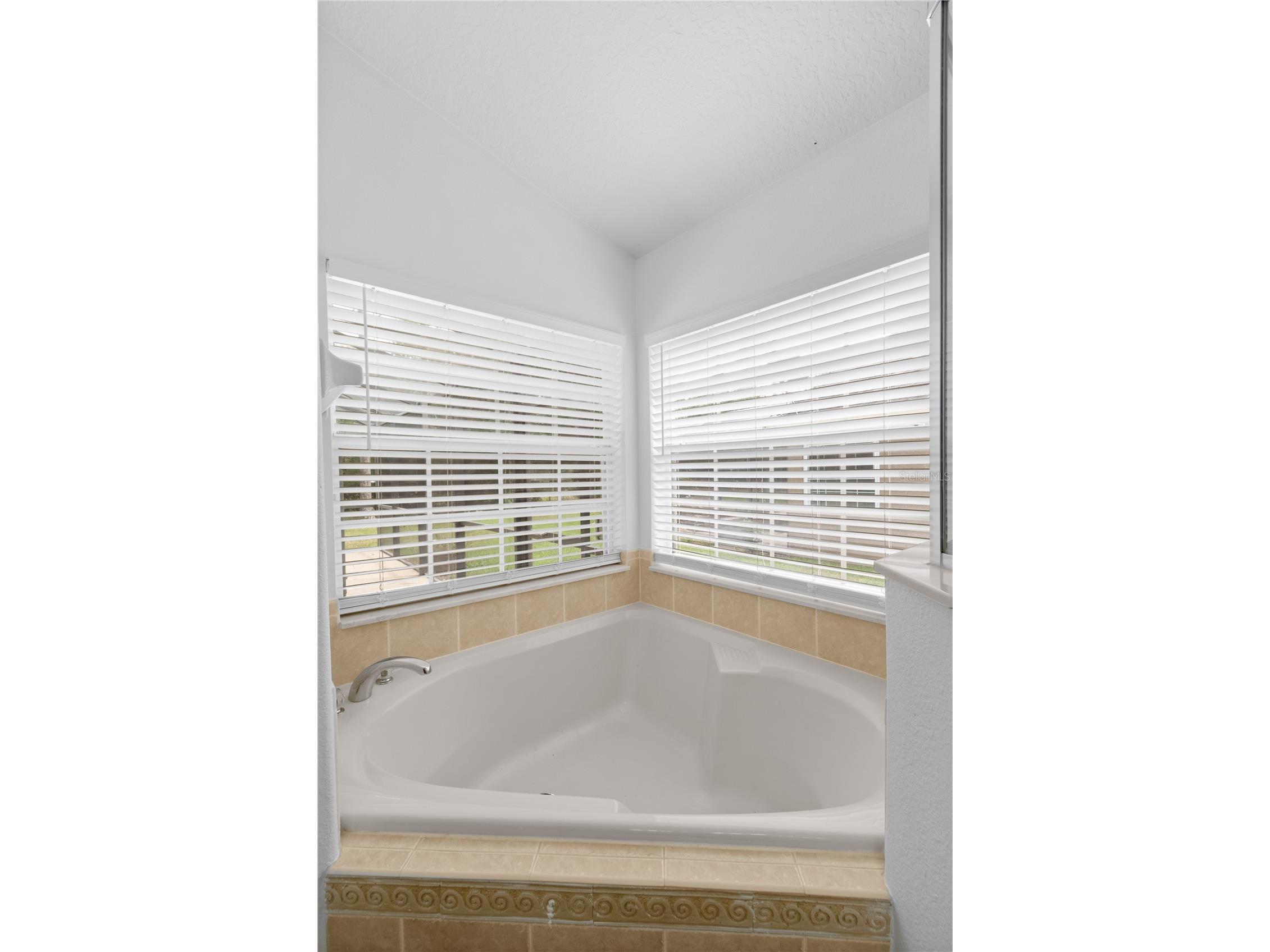 10990 Eliotti Street Orlando FL 32832 O6412373 image21
