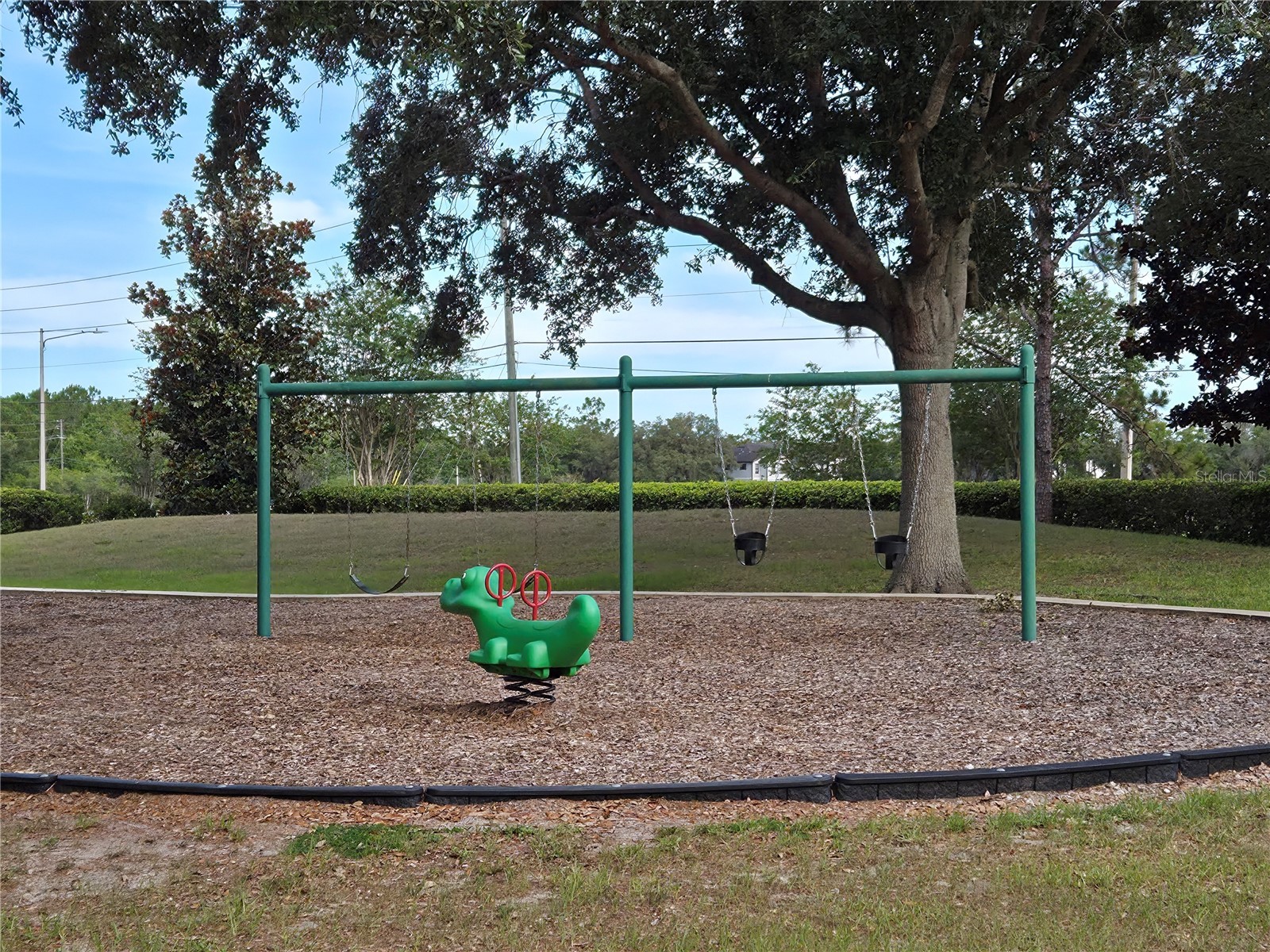 10990 Eliotti Street Orlando FL 32832 O6412373 image34
