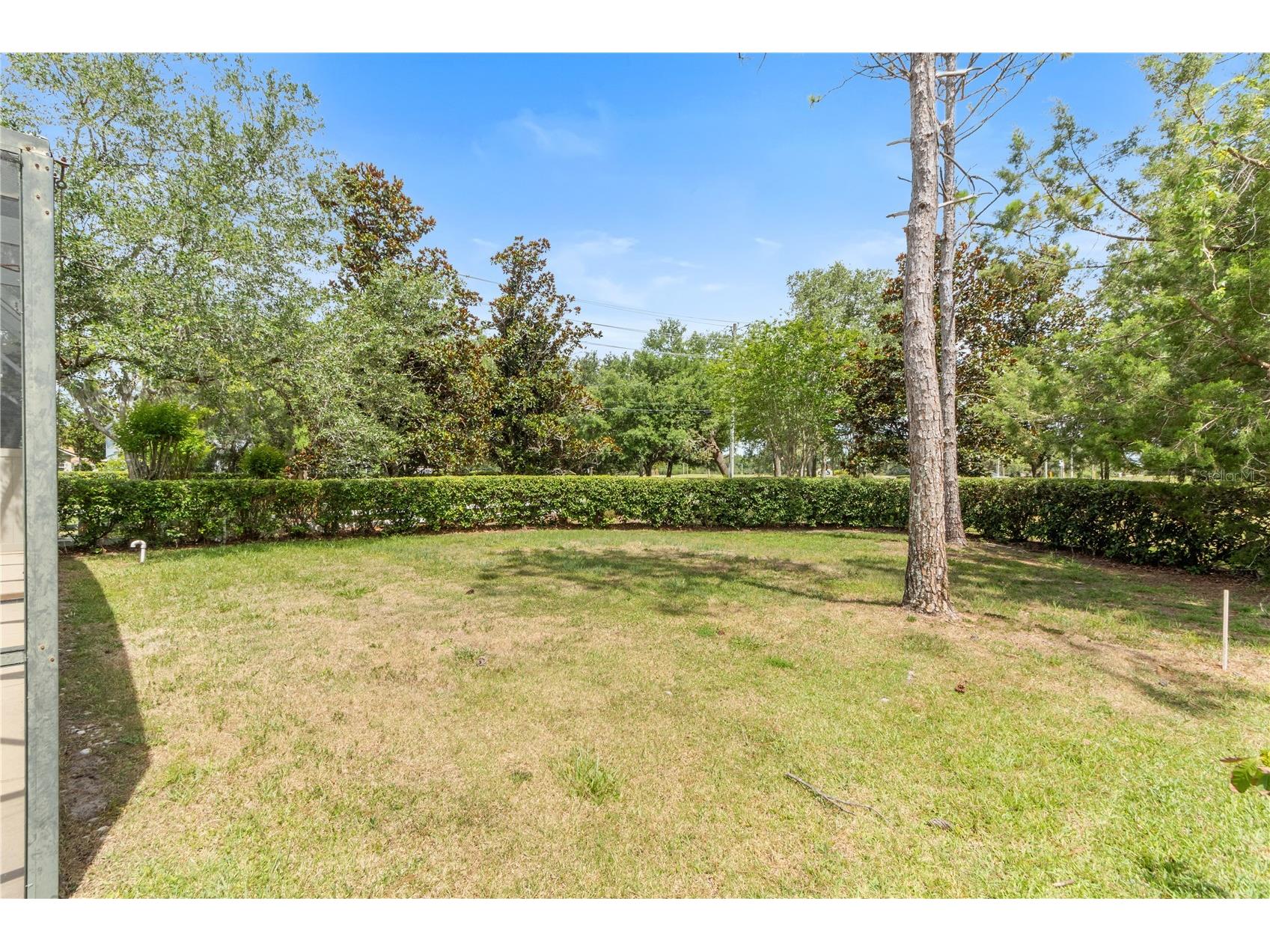 10990 Eliotti Street Orlando FL 32832 O6412373 image7