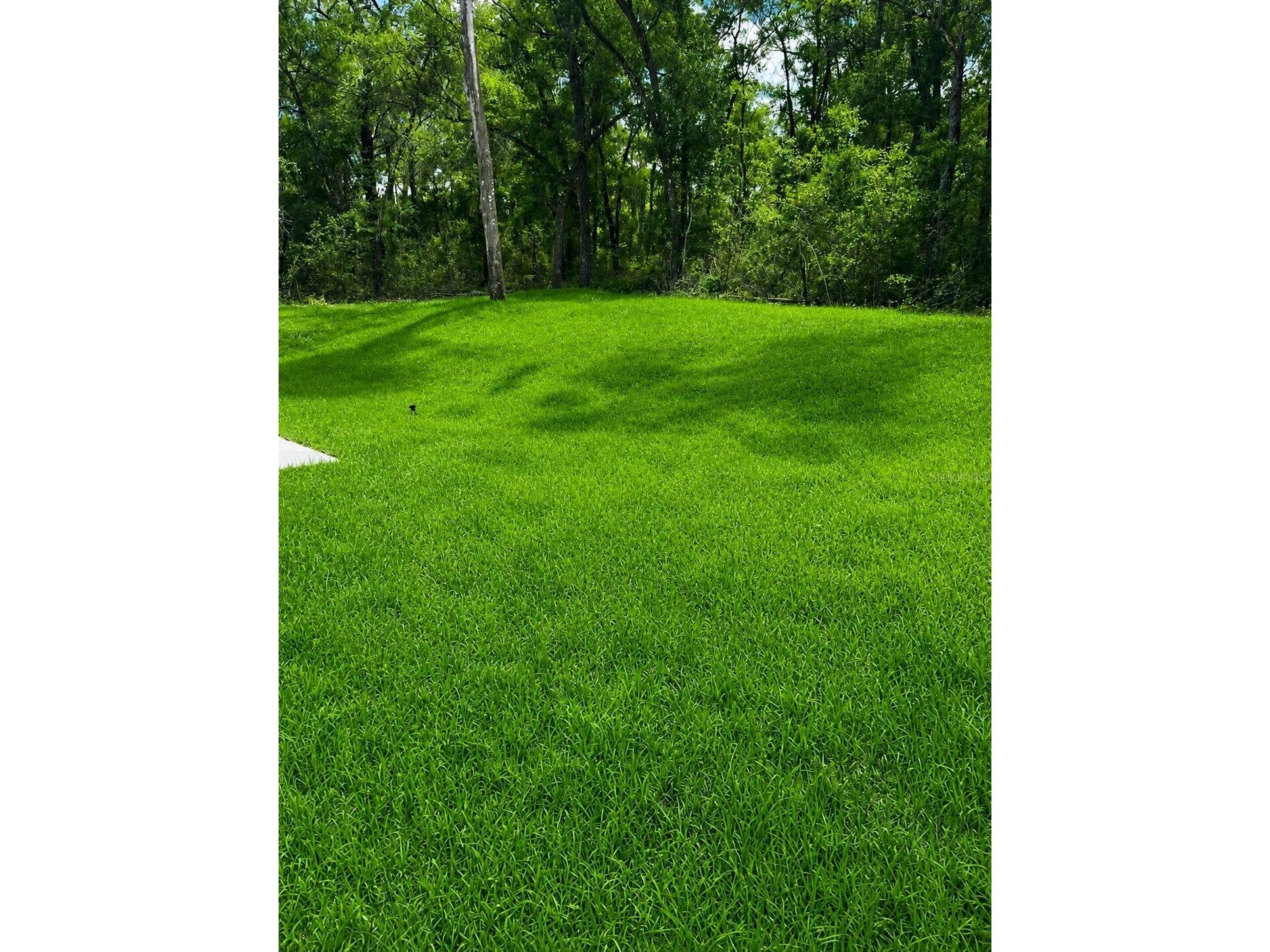 10990 N Adler Drive Dunnellon FL 34434 O6409073 image16