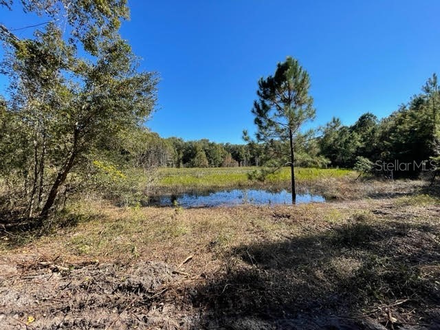 10991 SE 186th Avenue Ocklawaha FL 32179 OM630397 image1