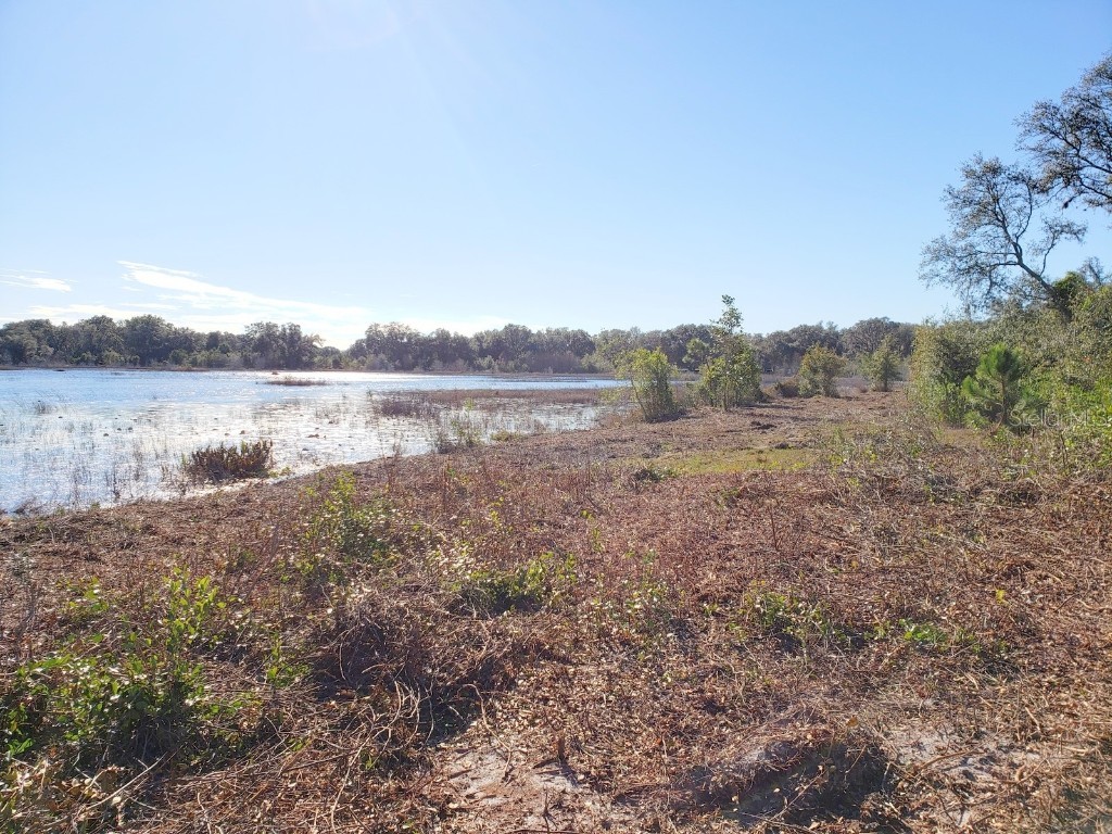 11.09ac NE Hwy 315 Fort Mc Coy FL 32134 - LAKE CLAIRE OM697081 image1