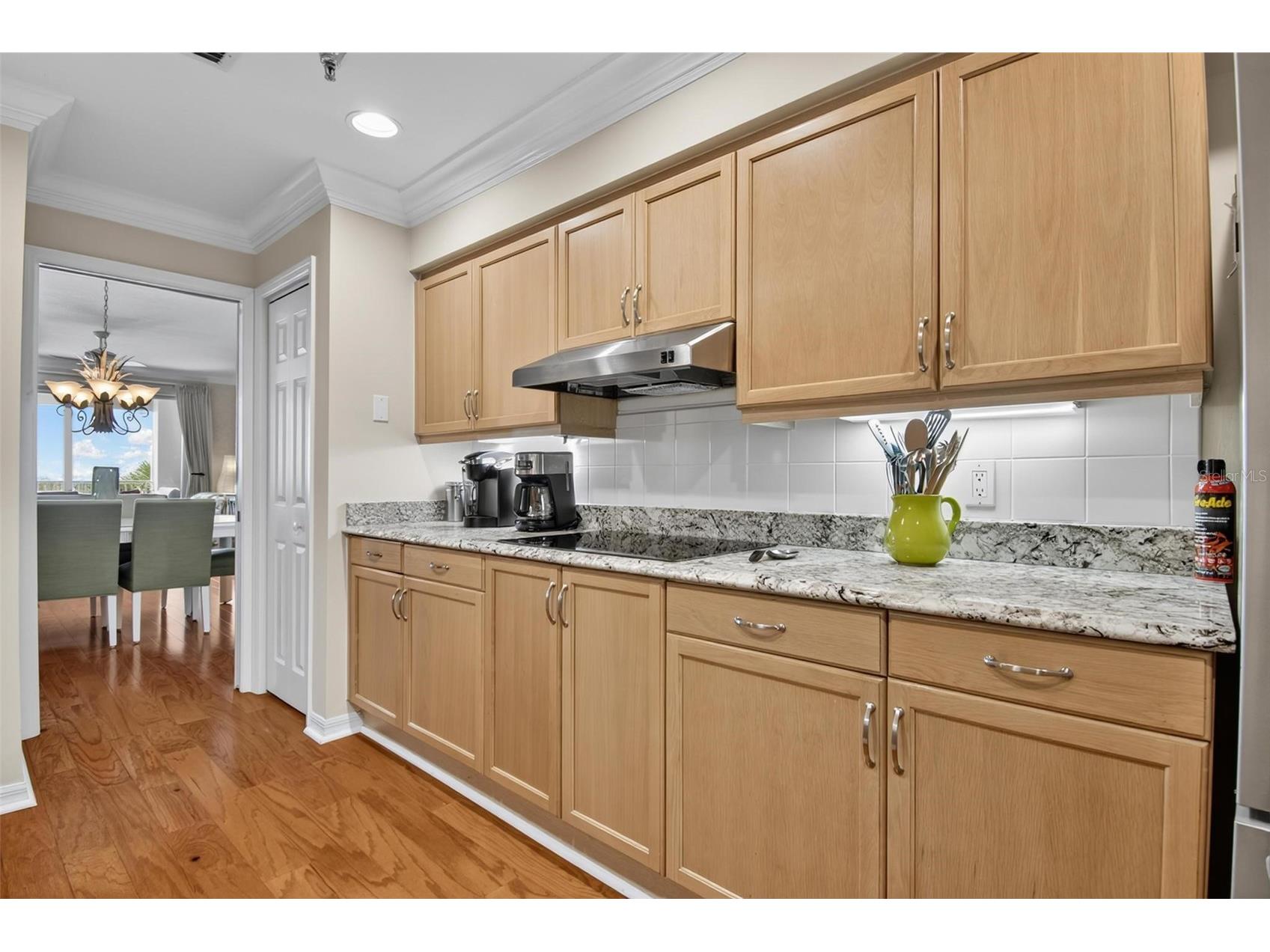 11 Avenue De La Mer #1303 Palm Coast FL 32137 - ATLANTIC OCEAN FC318175 image15