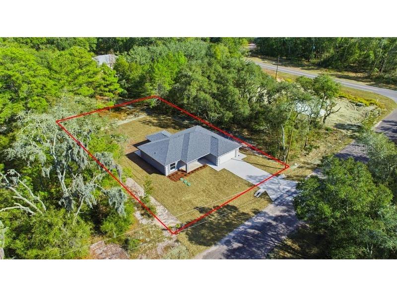 11 Bay Place Ocklawaha FL 32179 OM708619 image3