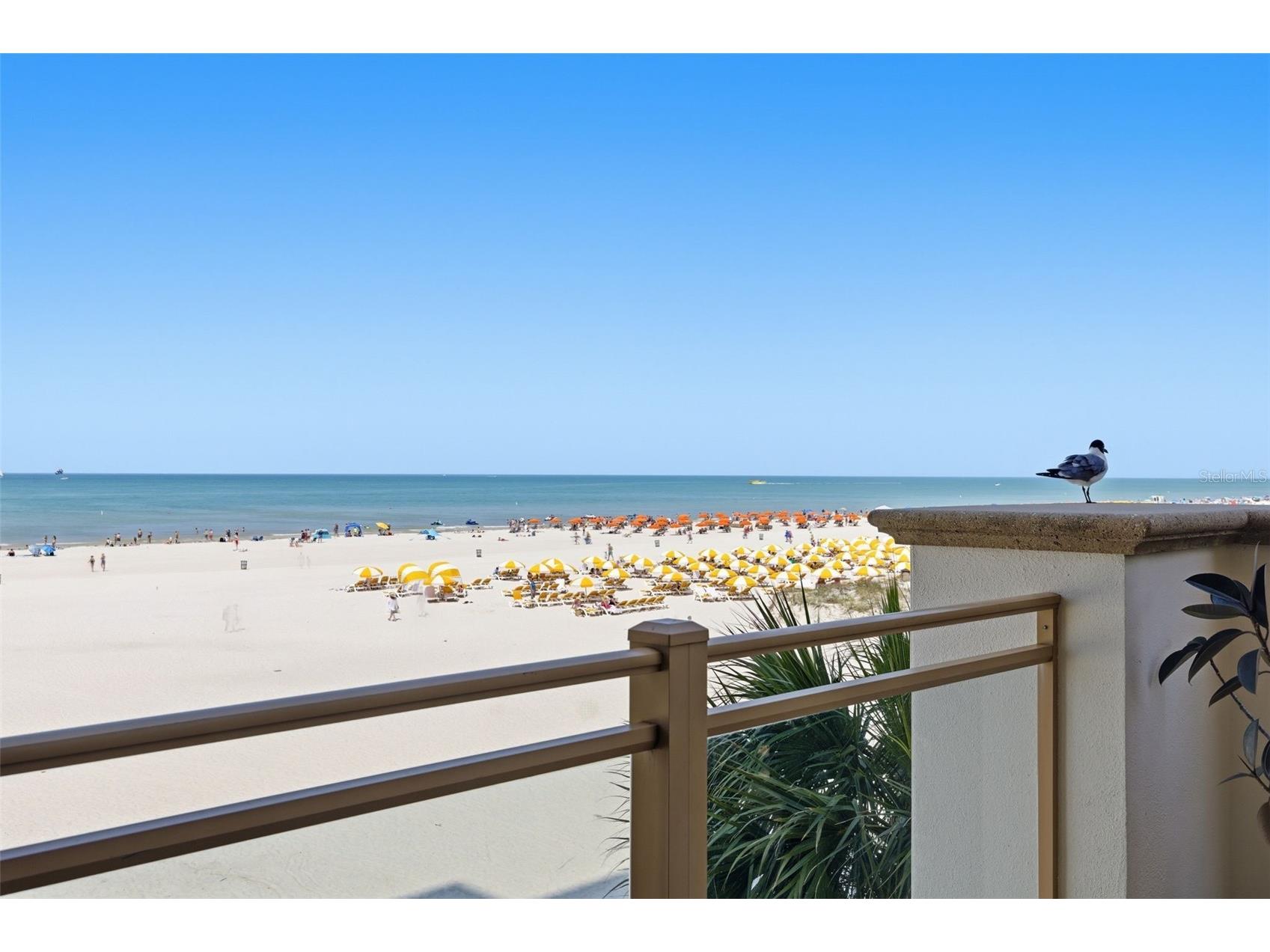 11 Baymont Street #302 Clearwater Beach FL 33767 - GULF OF AMERICA TB8494438 image43