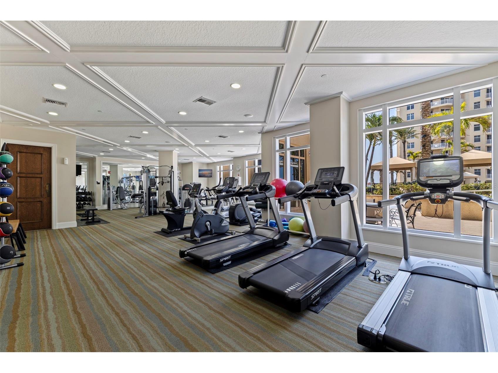 11 Baymont Street #302 Clearwater Beach FL 33767 - GULF OF AMERICA TB8494438 image55
