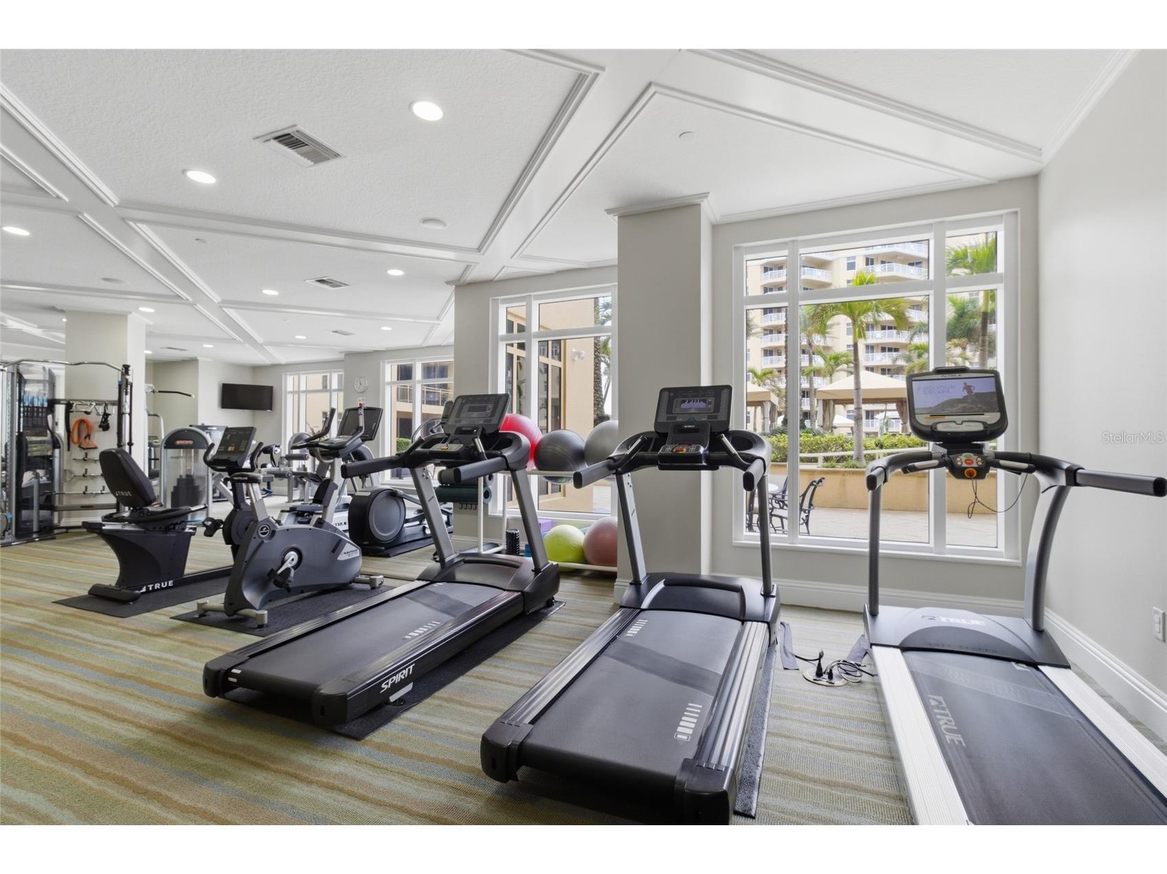 11 Baymont Street #608 Clearwater Beach FL 33767 - GULF OF AMERICA TB8496104 image56
