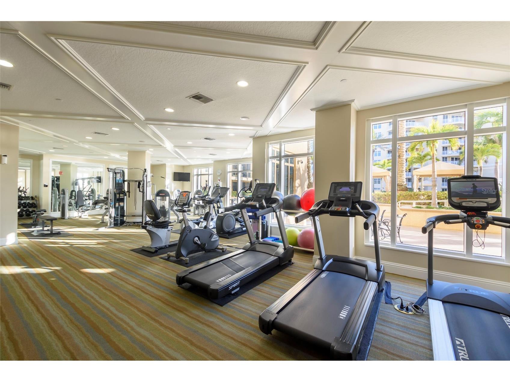 11 Baymont Street #702 Clearwater Beach FL 33767 TB8467929 image74