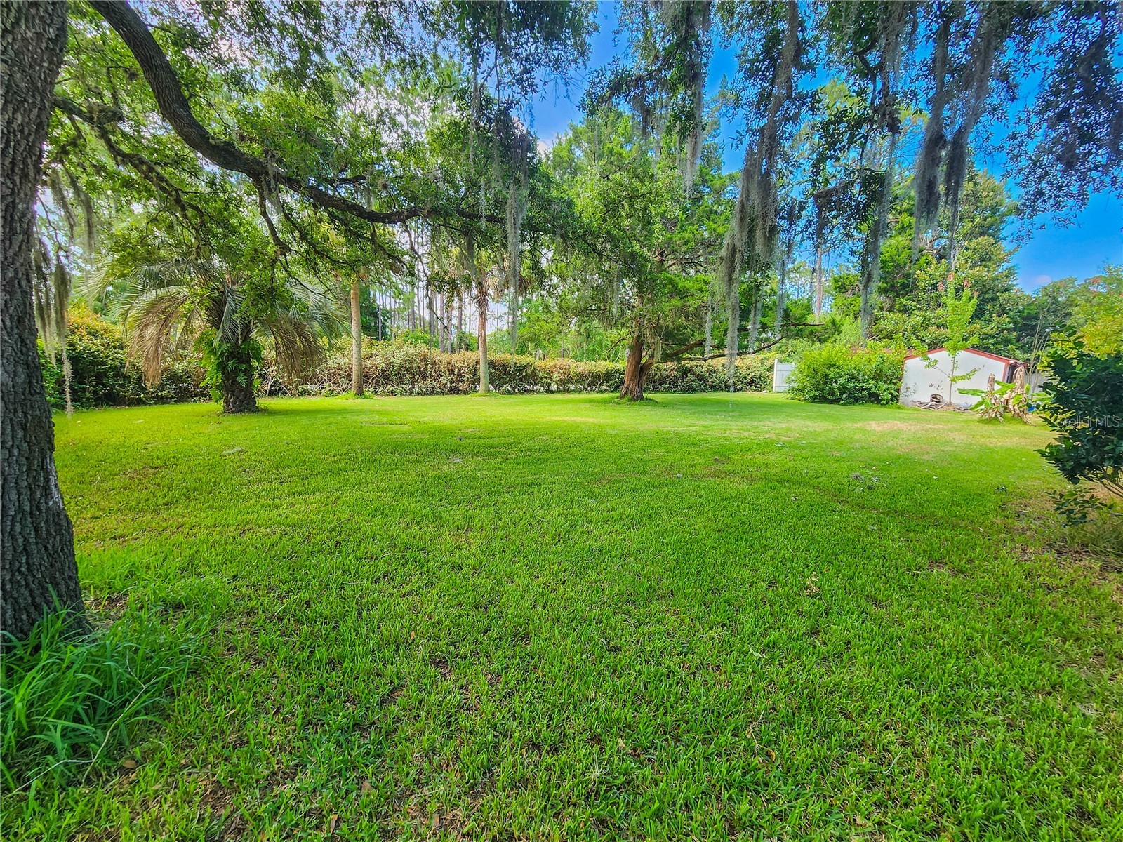 11 Bunker Hill Drive Palm Coast FL 32137 FC319566 image43