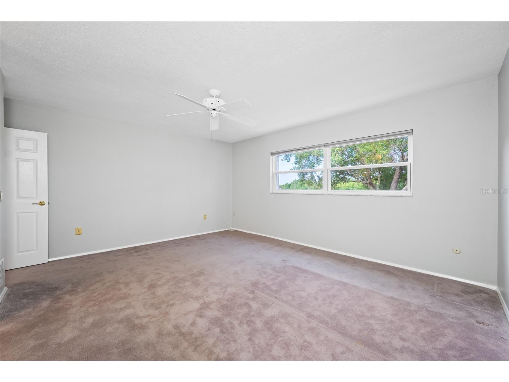 11 Country Club Drive #11 Largo FL 33771 TB8509554 image44