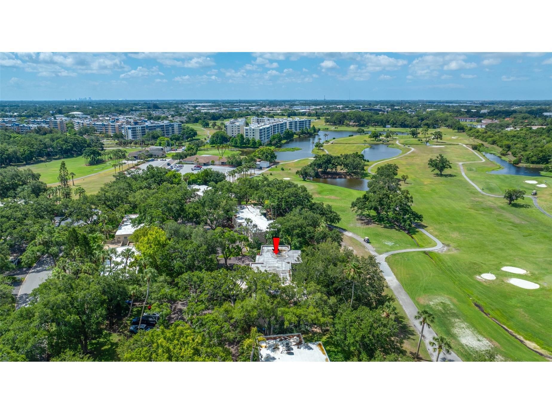 11 Country Club Drive #11 Largo FL 33771 TB8509554 image55