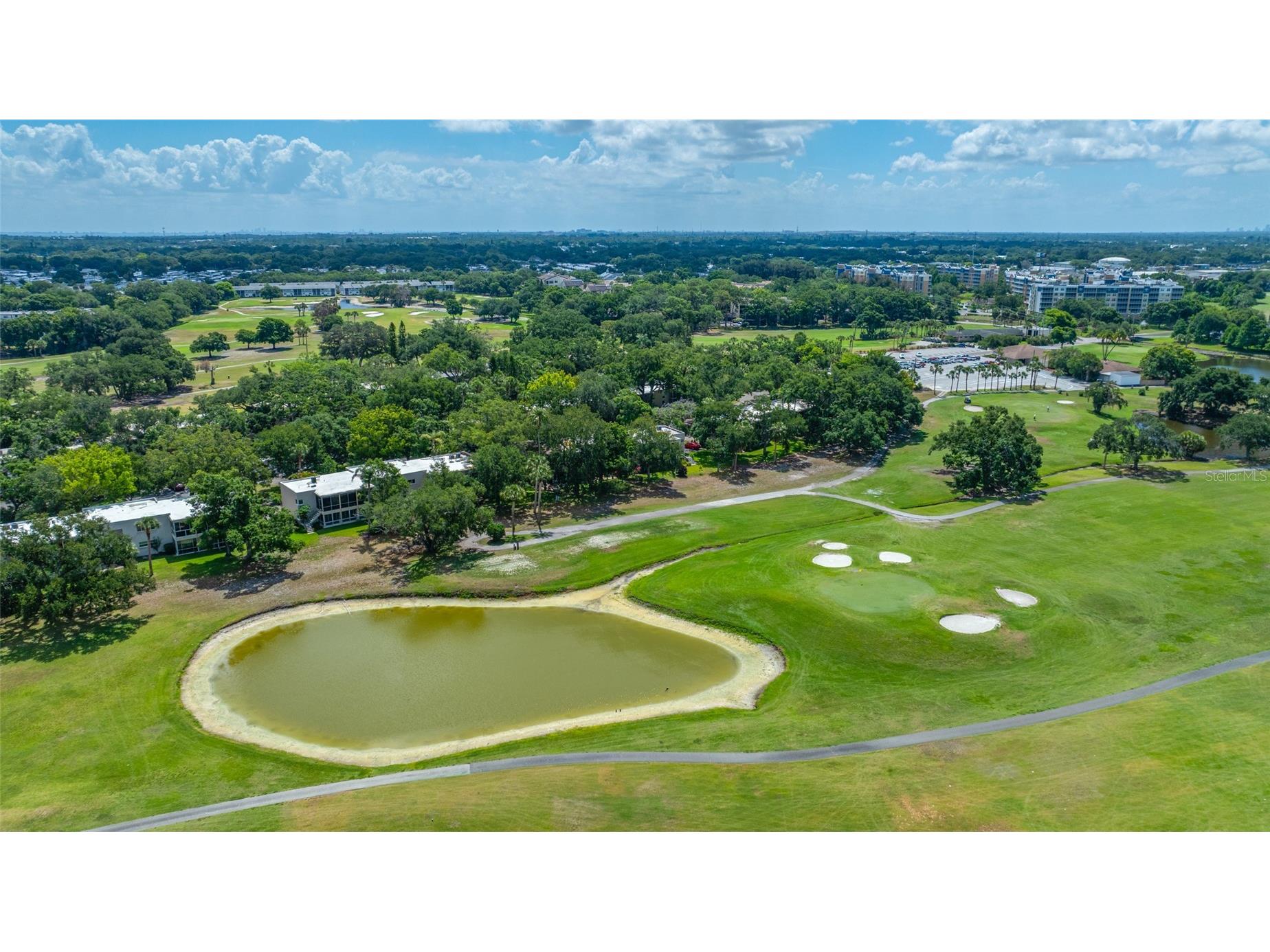 11 Country Club Drive #11 Largo FL 33771 TB8509554 image58