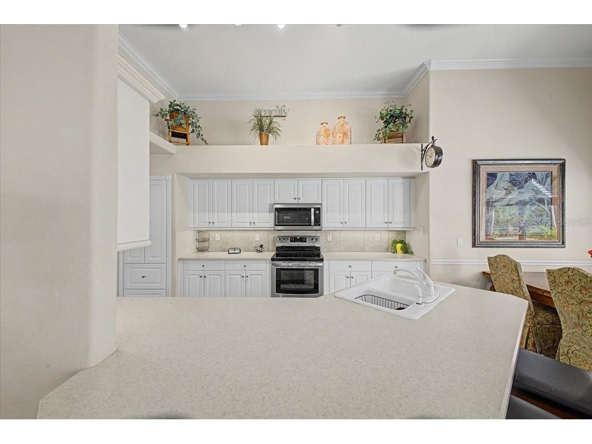 11 Crescent Lake Way Ormond Beach FL 32174 FC317797 image10