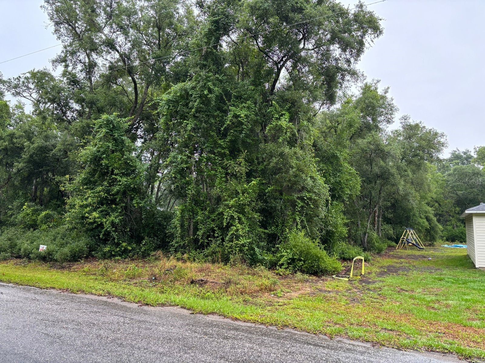 11 Fisher Way Course Ocklawaha FL 32179 O6397619 image1