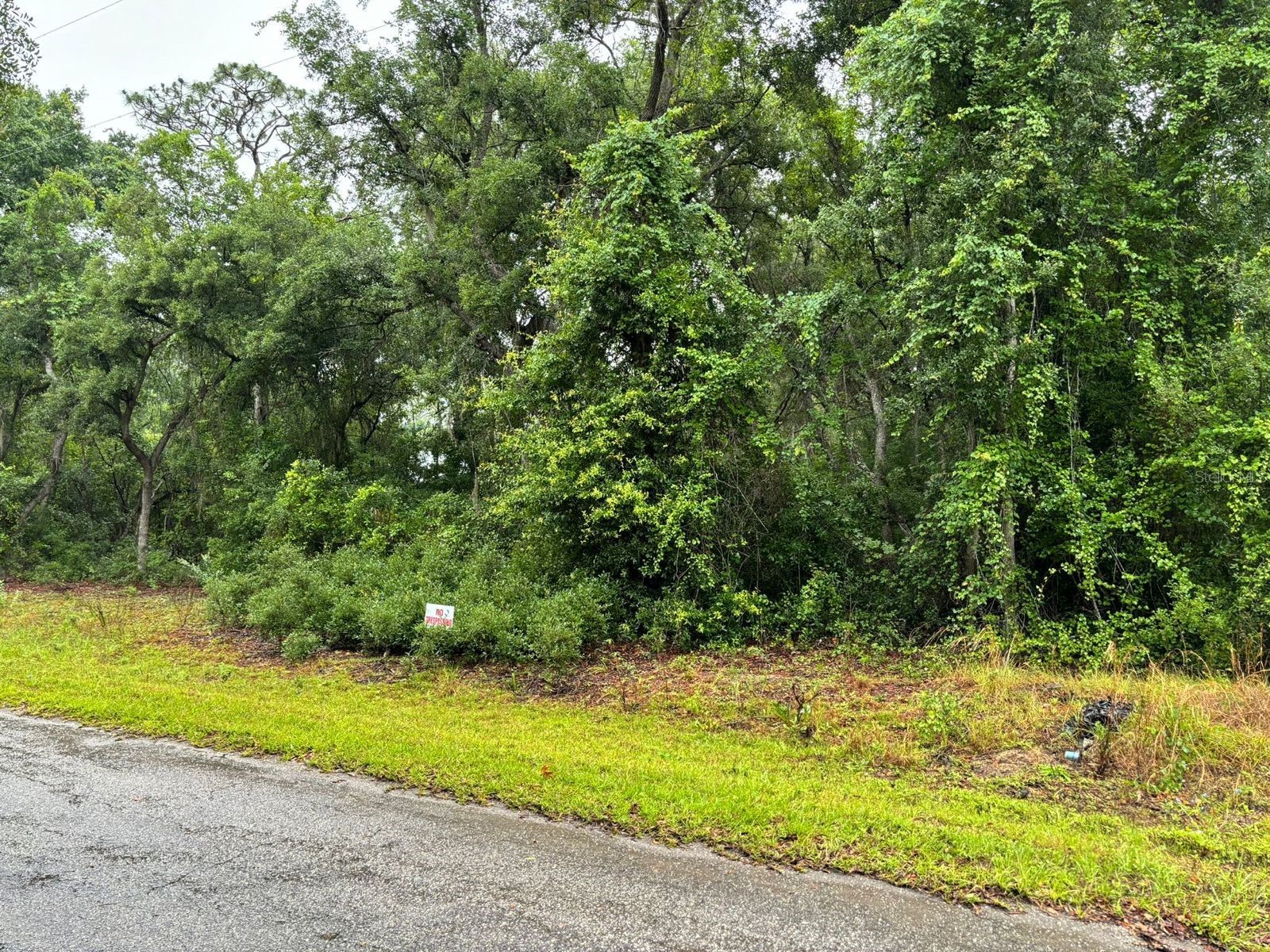 11 Fisher Way Course Ocklawaha FL 32179 O6397619 image3