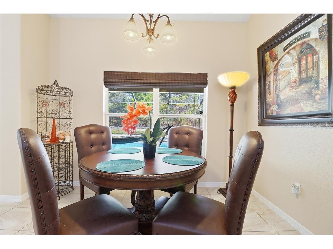 11 Heuchera Court E Homosassa FL 34446 TB8461673 image28