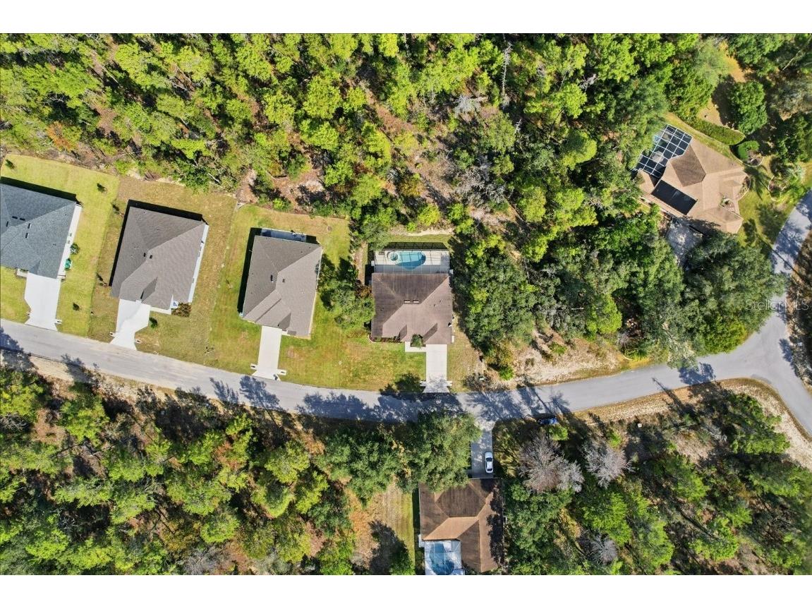 11 Heuchera Court E Homosassa FL 34446 TB8461673 image54