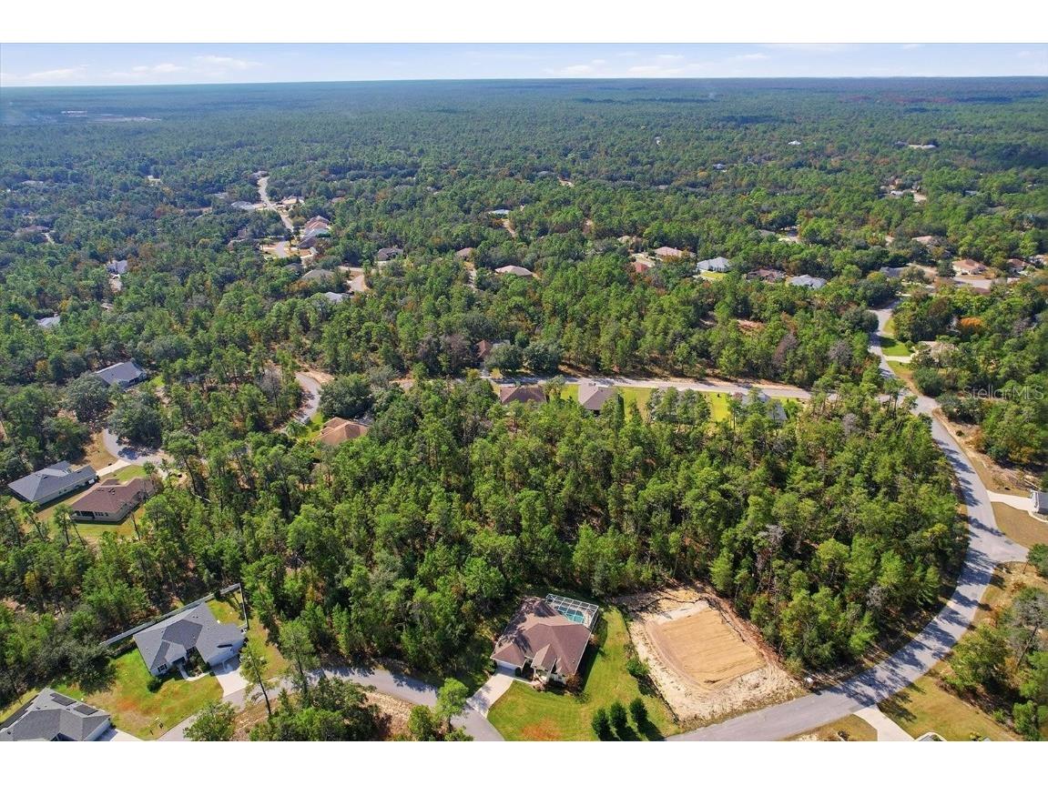 11 Heuchera Court E Homosassa FL 34446 TB8461673 image55