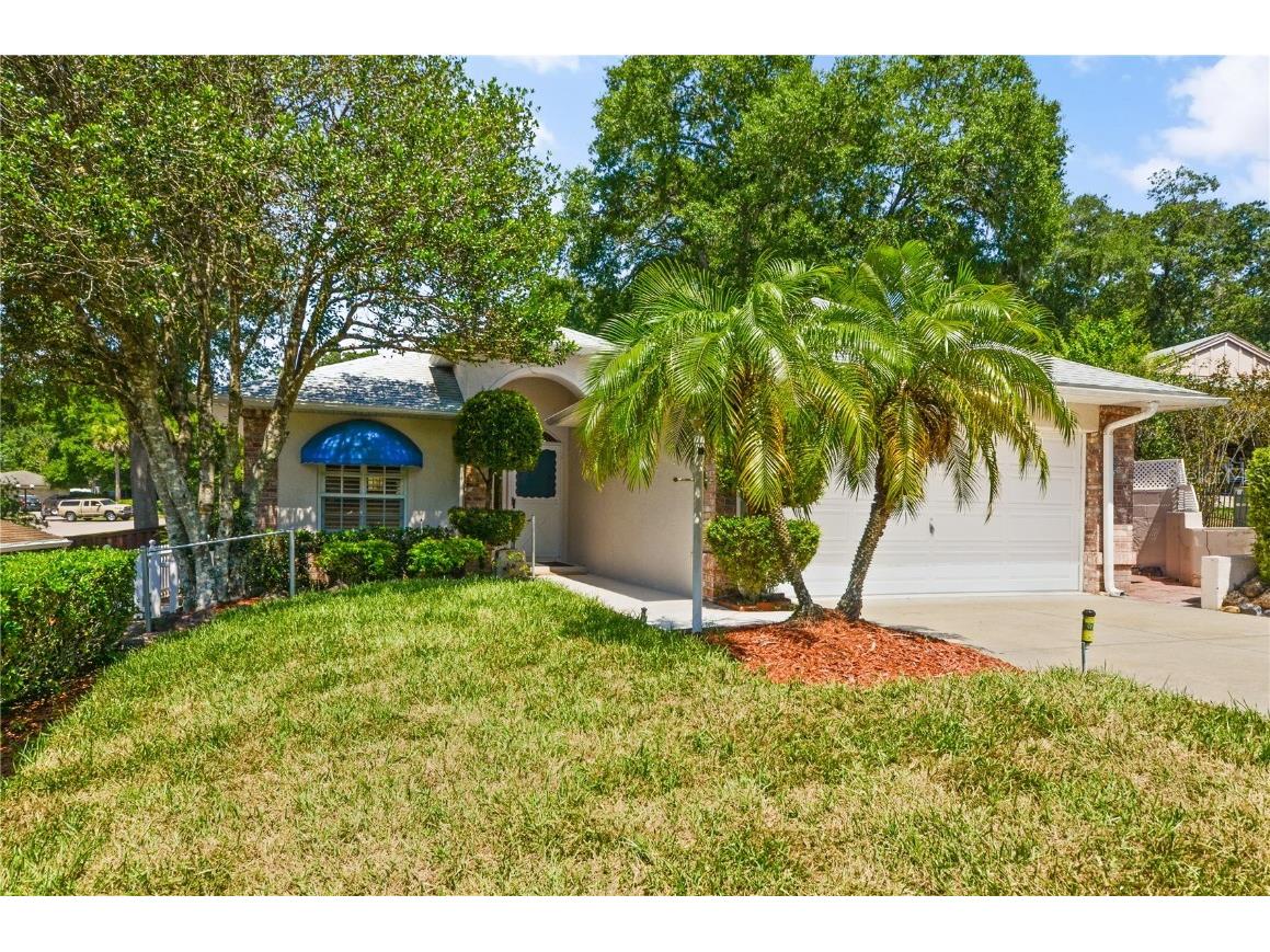 11 Hibiscus Court Eustis FL 32726 O6123549 image1