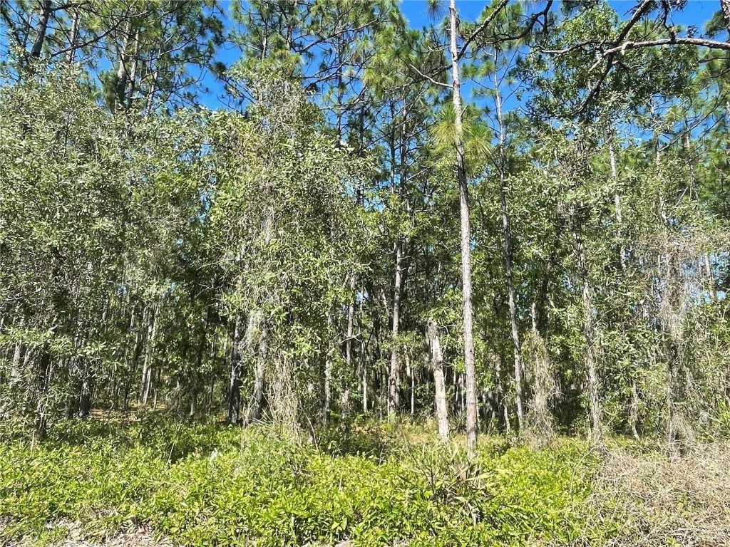 11 Maidenbush Circle Homosassa FL 34446 W7858717 image1