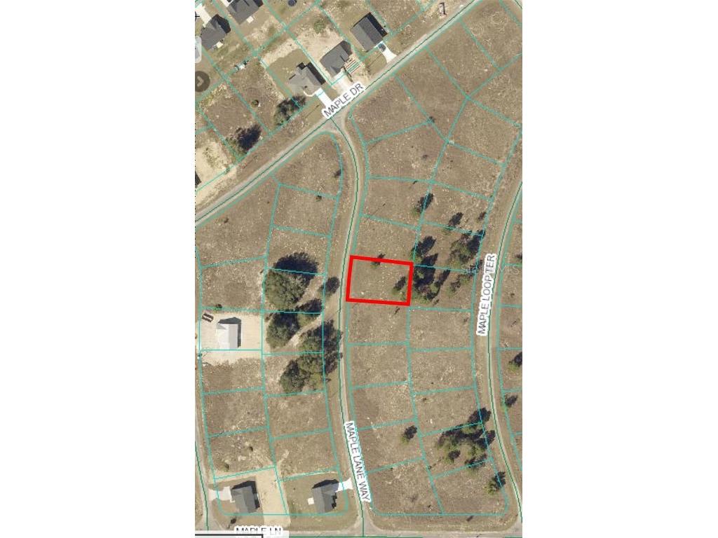 11 Maple Lane Way Ocklawaha FL 32179 OM687987 image1