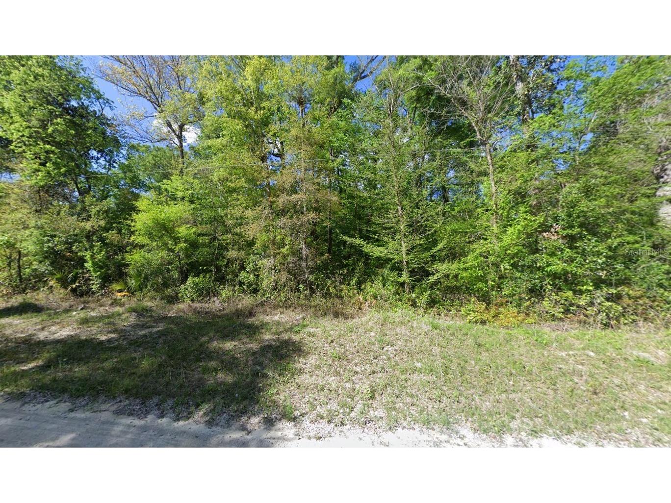 11 NE 717th St Old Town FL 32680 A4692857 image2