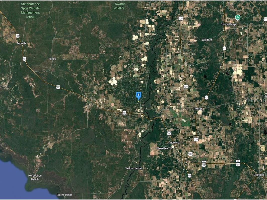 11 NE 717th St Old Town FL 32680 A4692857 image5