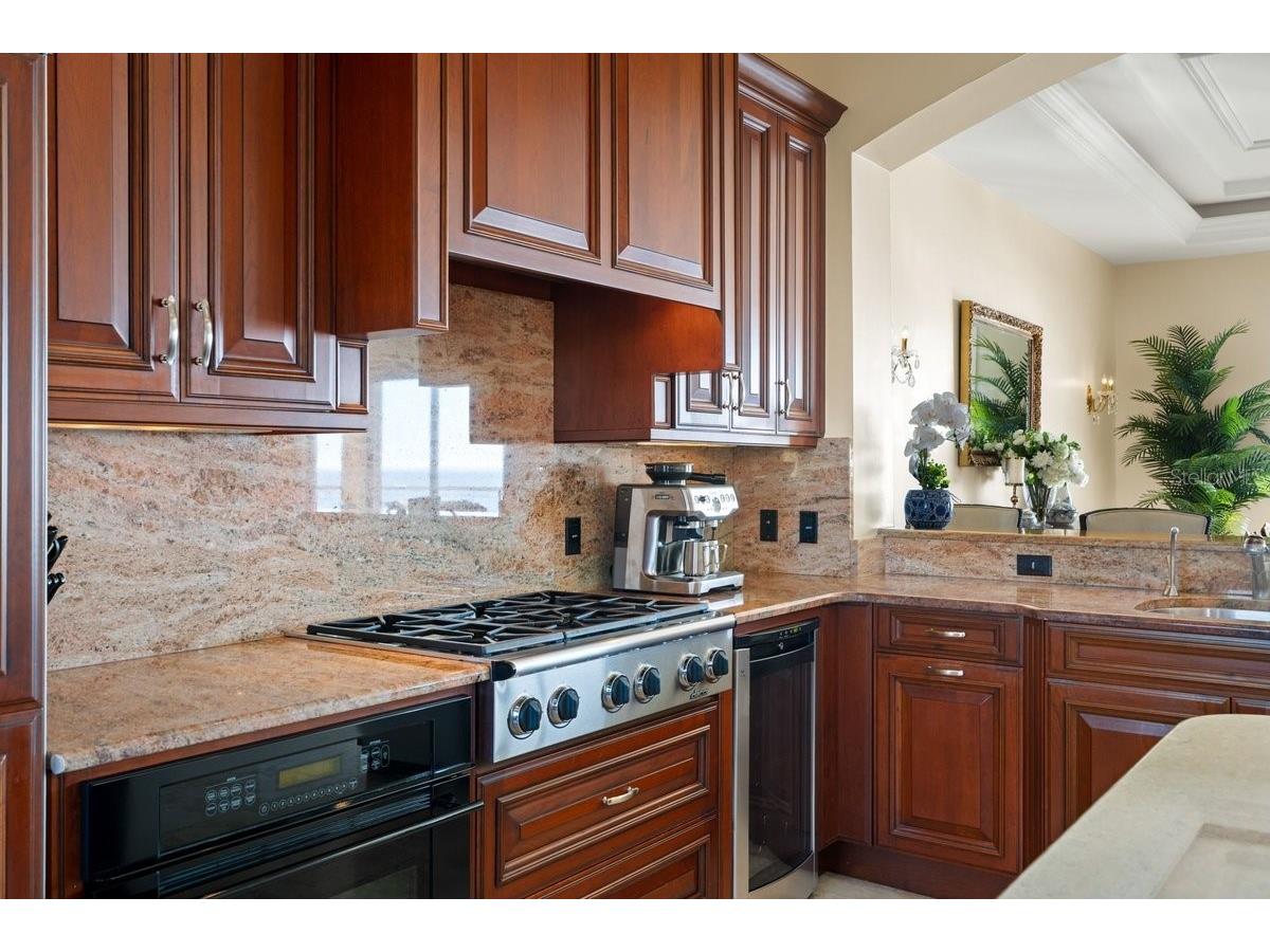 11 Ocean Dune Circle Palm Coast FL 32137 - ATLANTIC OCEAN FC317415 image24