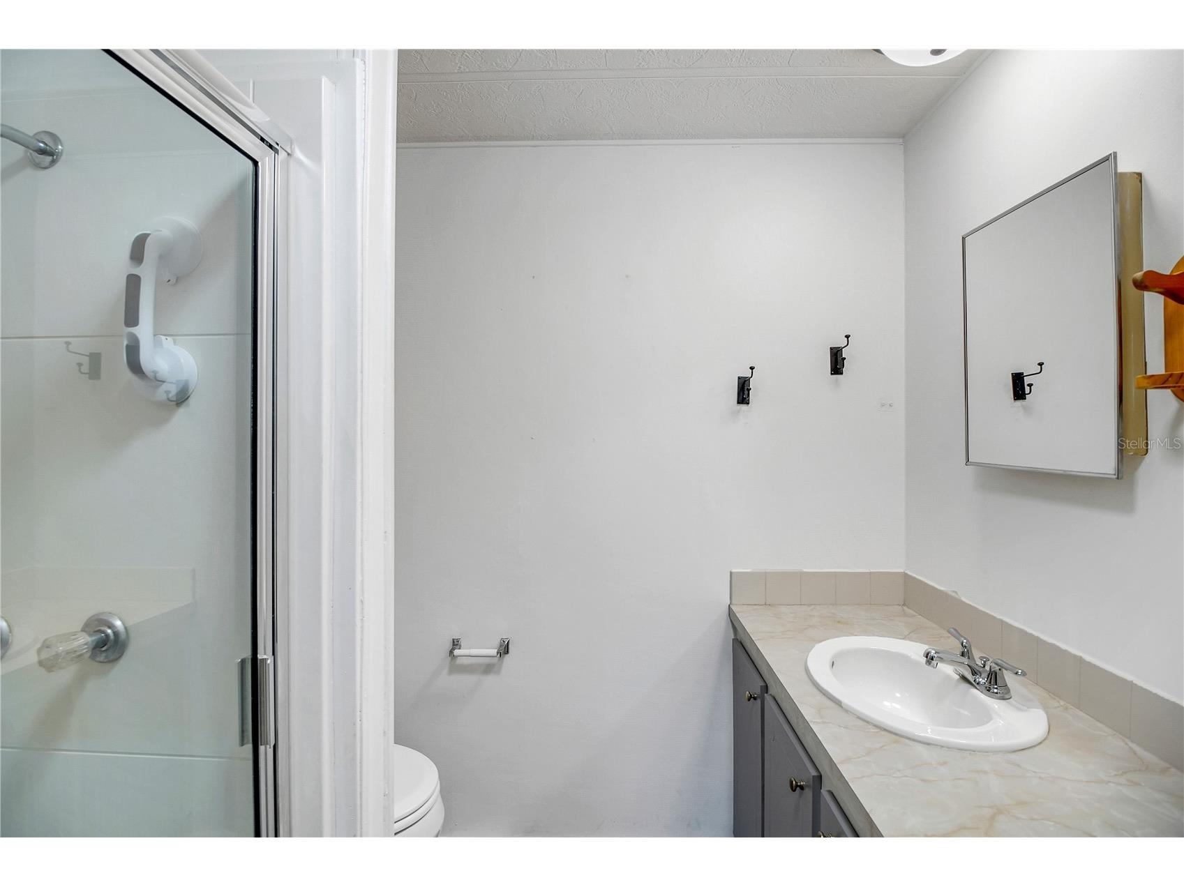 11 Orangewood Drive Fruitland Park FL 34731 - LAKE GRIFFIN G5106769 image20