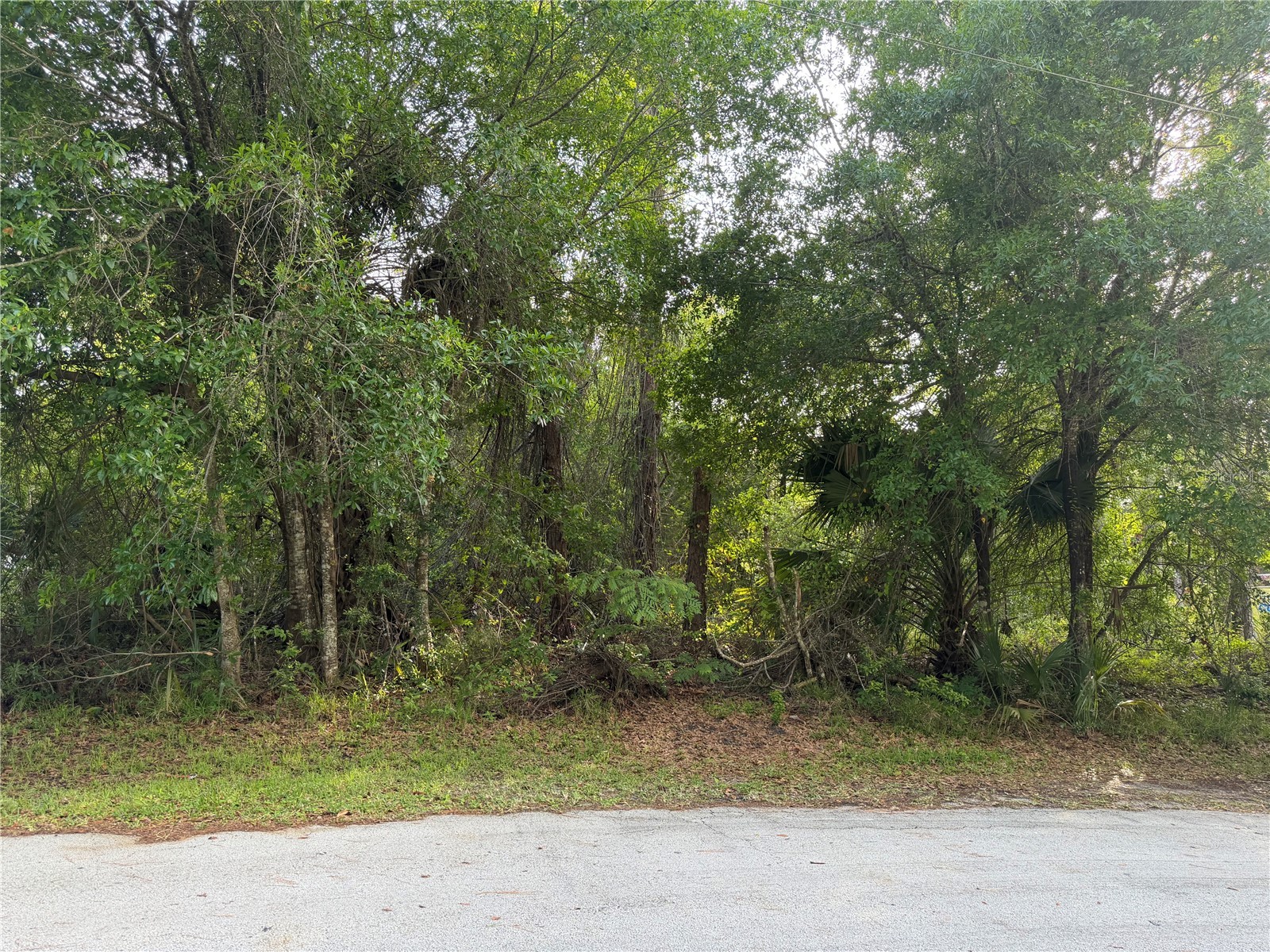 11 Patrick Place Palm Coast FL 32164 FC317625 image1