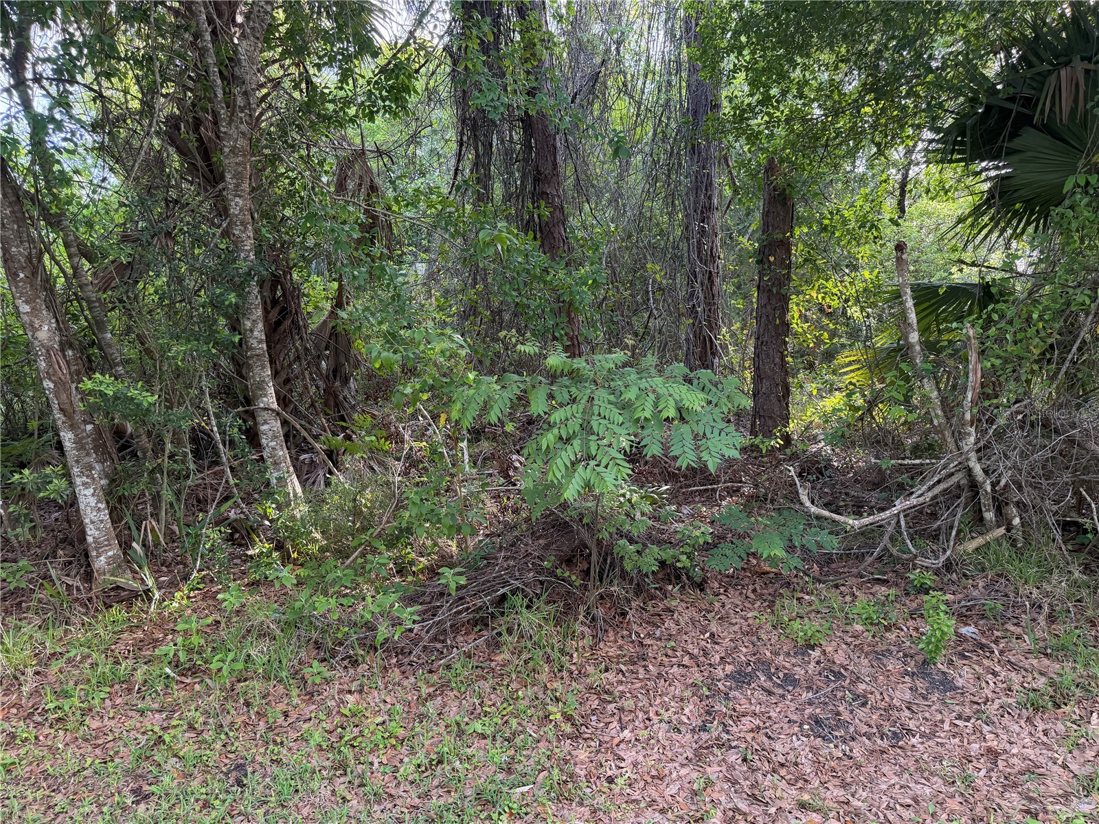 11 Patrick Place Palm Coast FL 32164 FC317625 image3