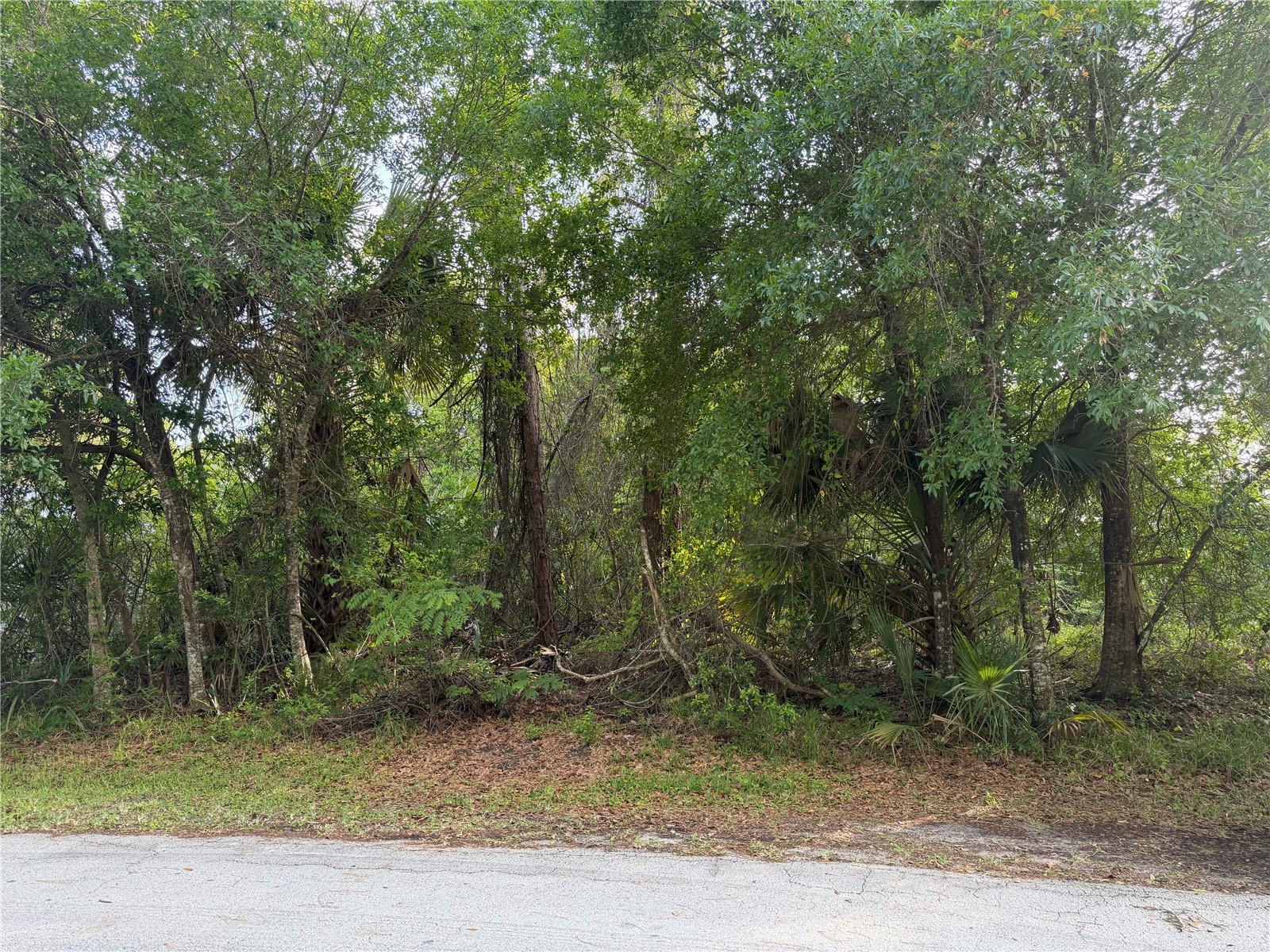 11 Patrick Place Palm Coast FL 32164 FC317625 image4