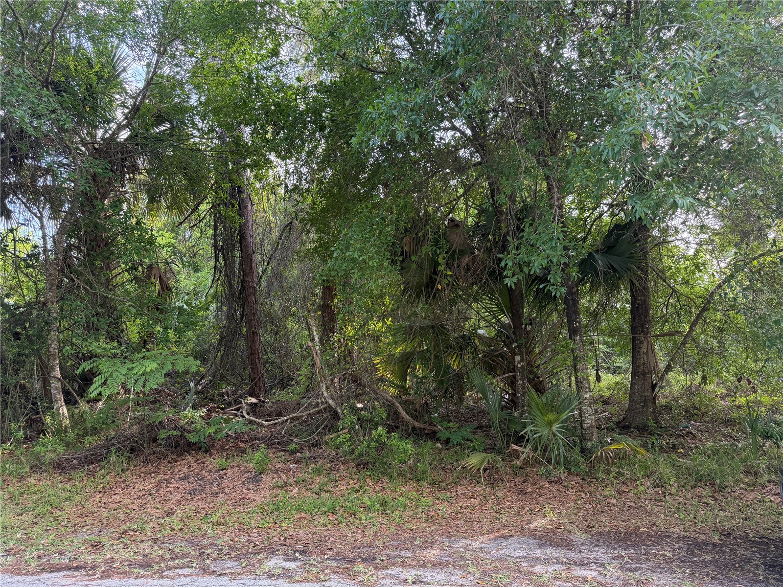11 Patrick Place Palm Coast FL 32164 FC317625 image5