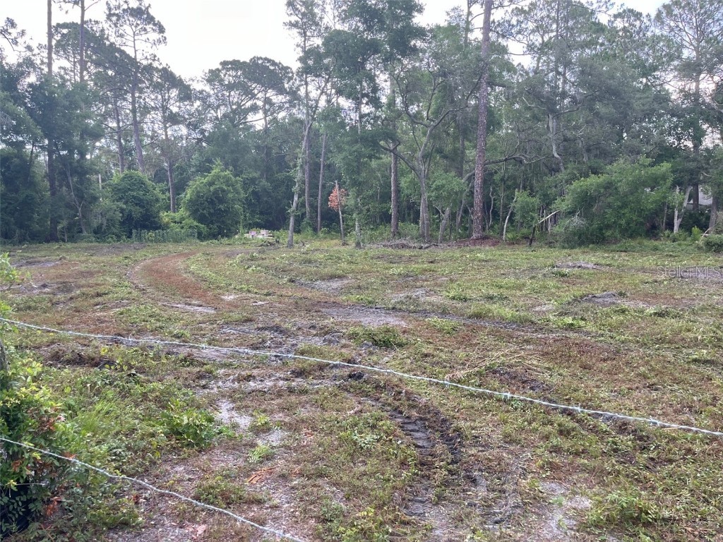 11 Perry Lane Deltona FL 32725 G5082534 image1