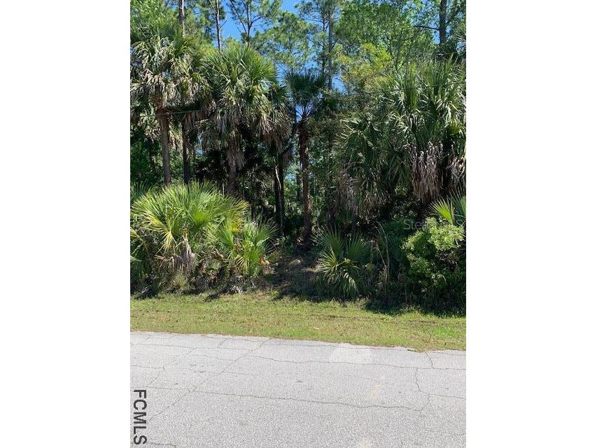 11 Pinelark Lane Palm Coast FL 32164 FC275460 image2