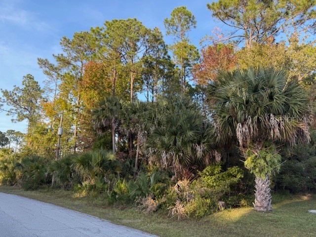 11 Pinelark Lane Palm Coast FL 32164 FC314252 image1