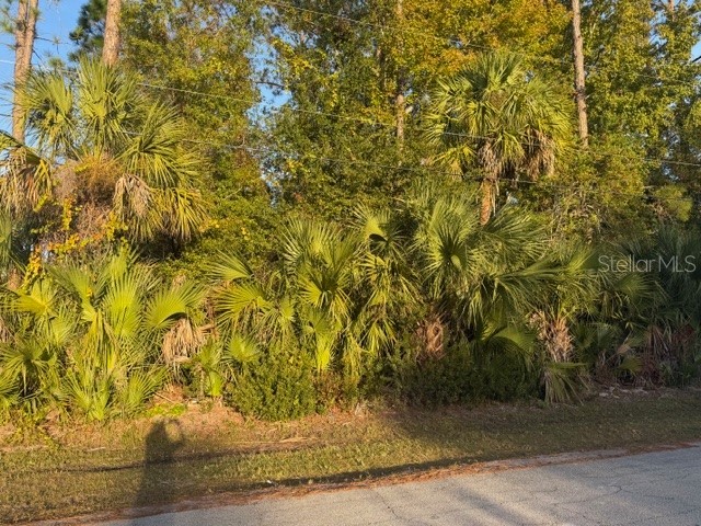 11 Pinelark Lane Palm Coast FL 32164 FC314252 image2