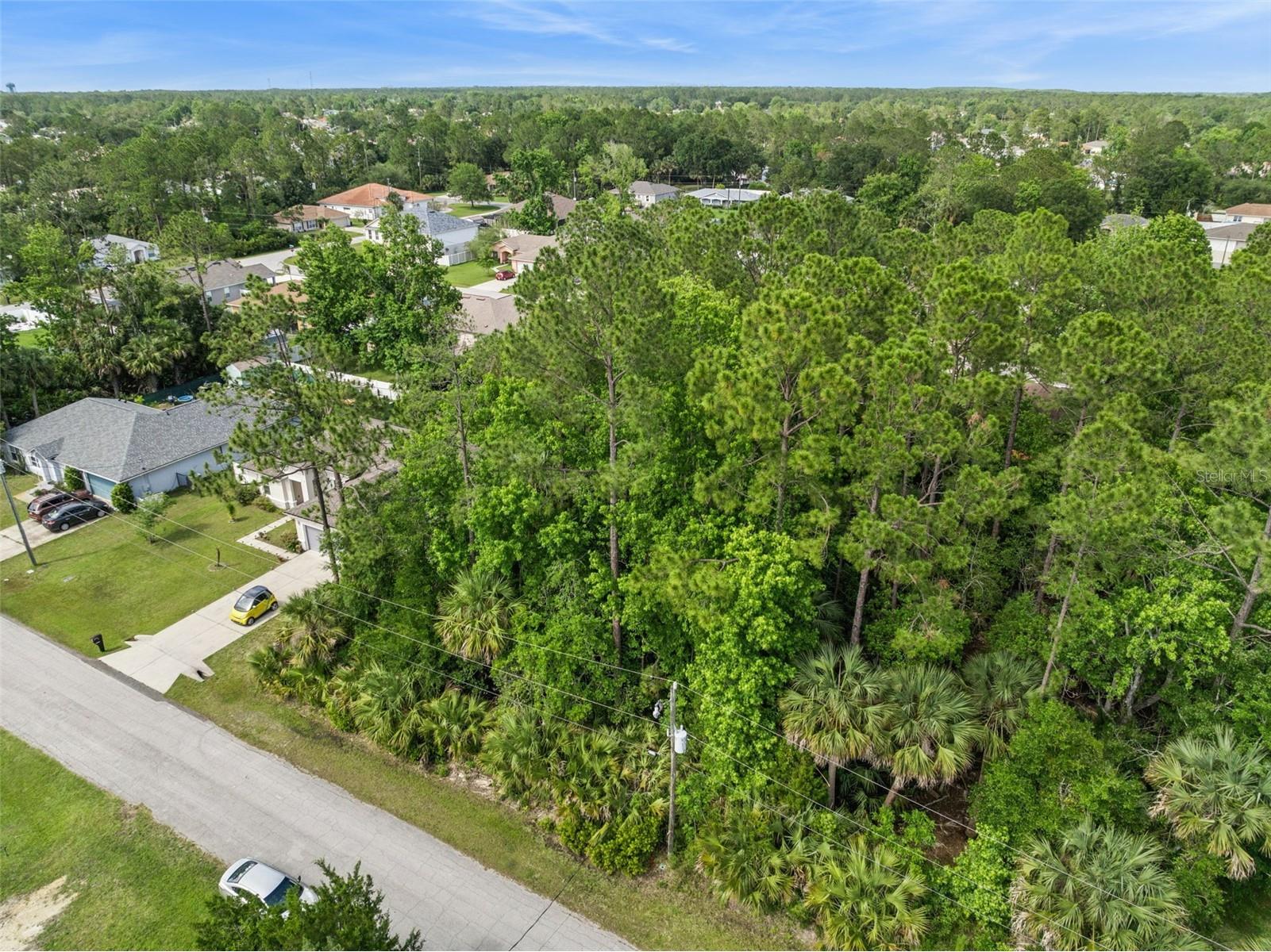 11 Pinelark Lane Palm Coast FL 32164 FC318816 image3