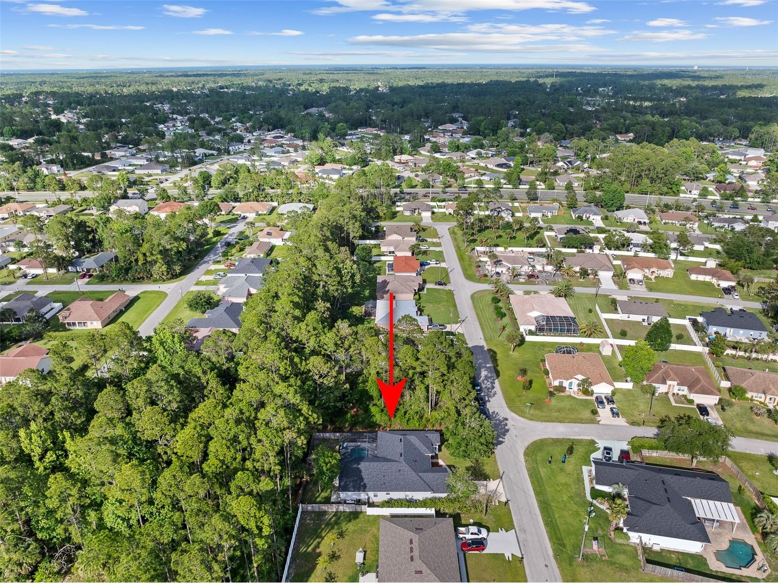 11 Rainbrook Drive Palm Coast FL 32164 O6408983 image43