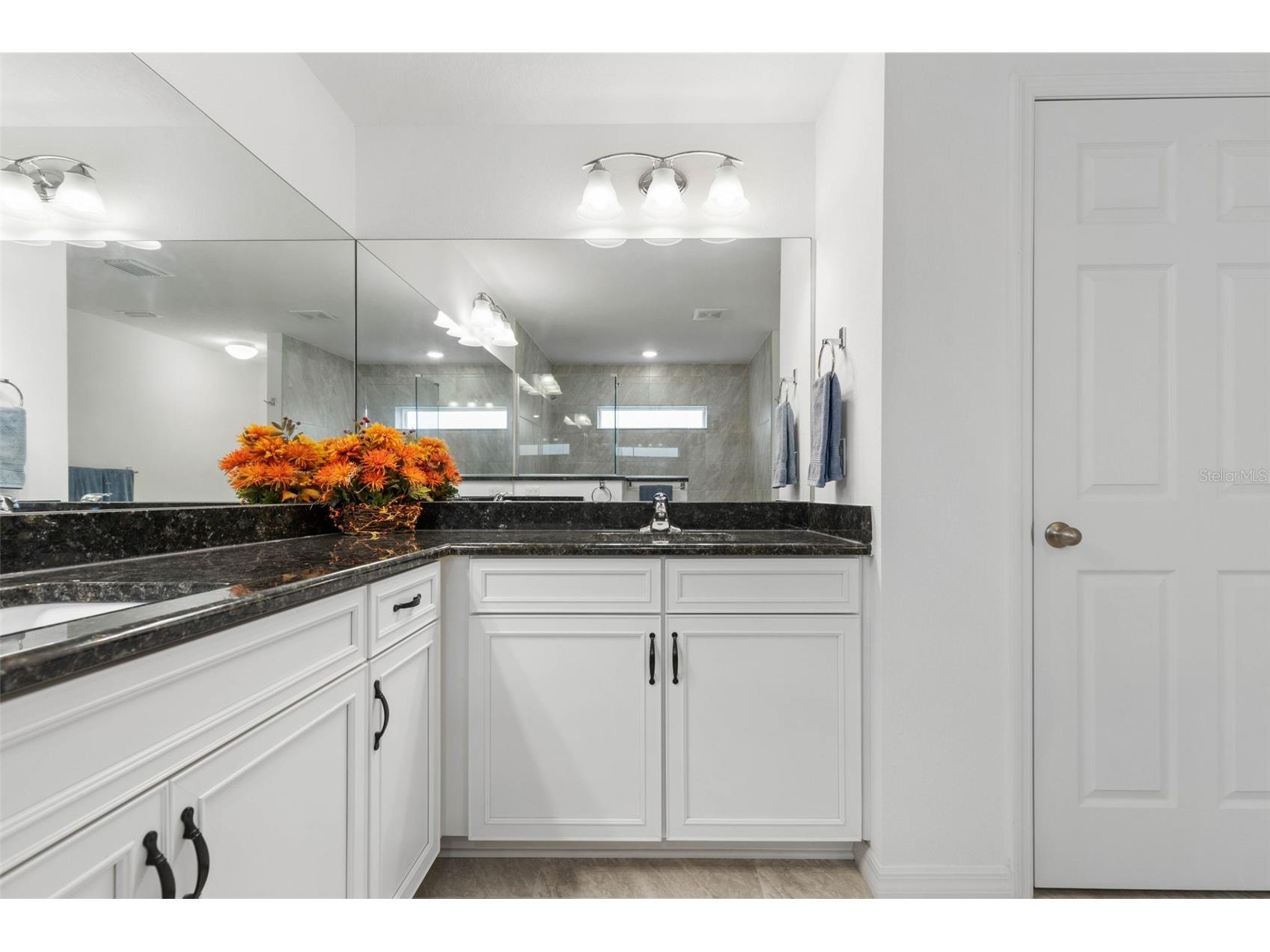 11 Randou Place Palm Coast FL 32164 FC315278 image35