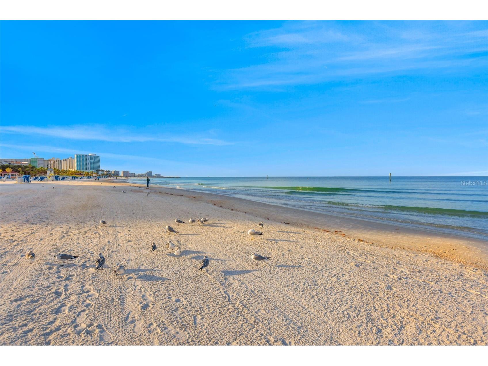 11 San Marco Street #401 Clearwater Beach FL 33767 - GULF TB8500144 image33