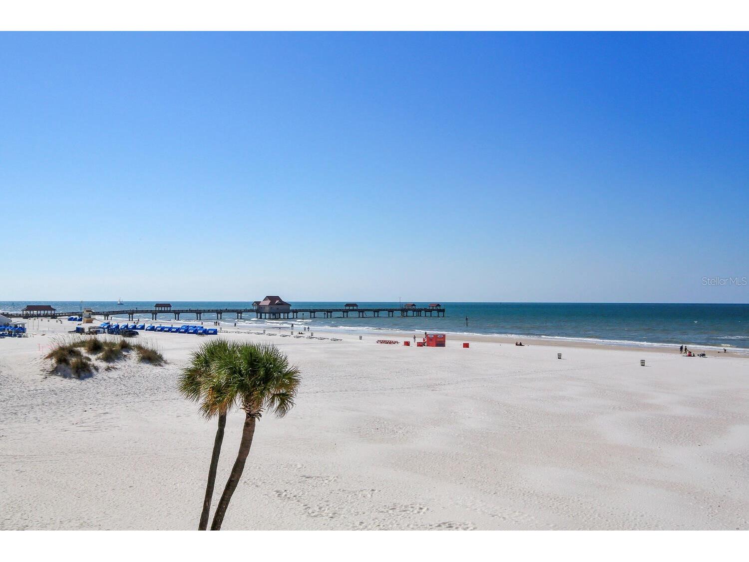 11 San Marco Street #408 Clearwater Beach FL 33767 TB8467533 image32