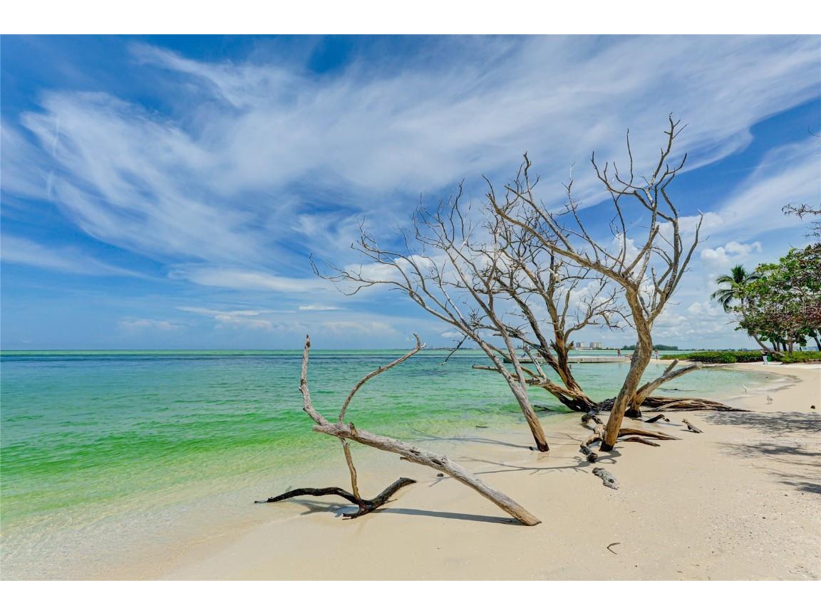 11 Sandy Cove Road #8F Sarasota FL 34242 A4668493 image4