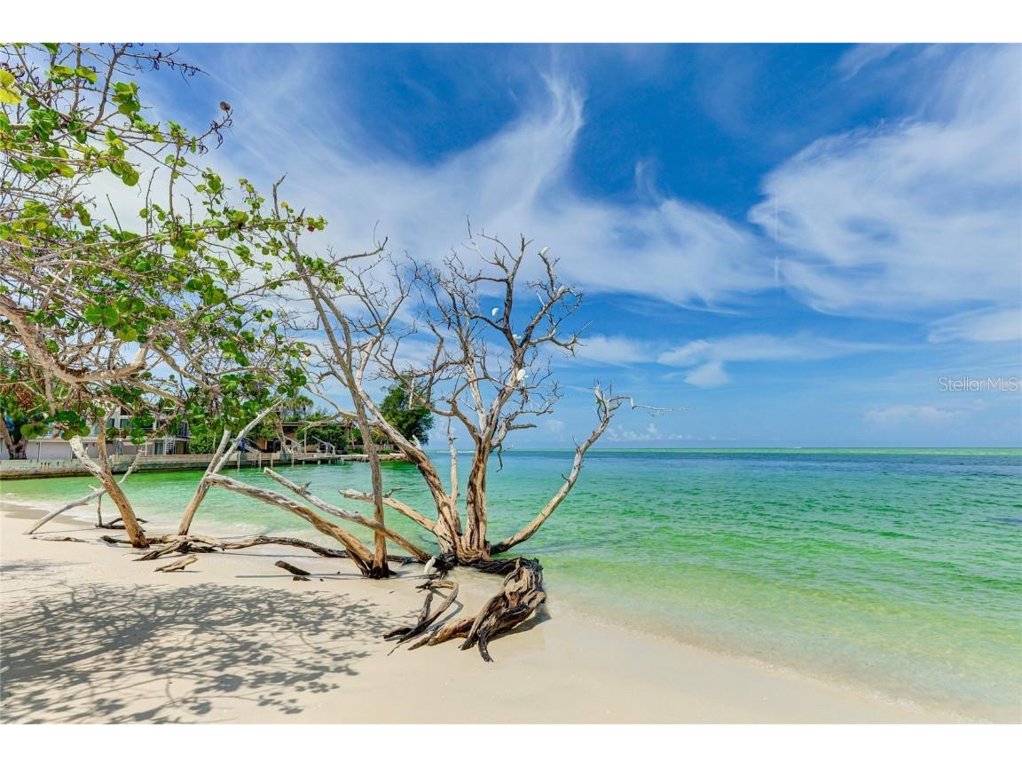 11 Sandy Cove Road #8F Sarasota FL 34242 A4668493 image44