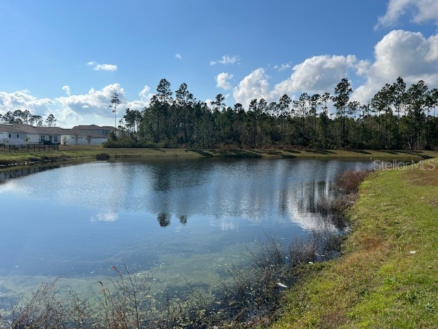 11 Sawdust Lane Palm Coast FL 32137 FC314506 image28