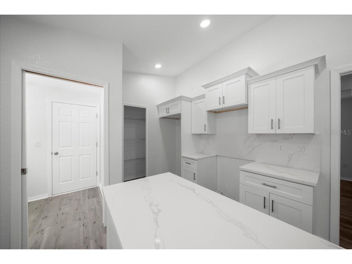 11 Sequoia Loop Place Ocklawaha FL 32179 OM717580 image33