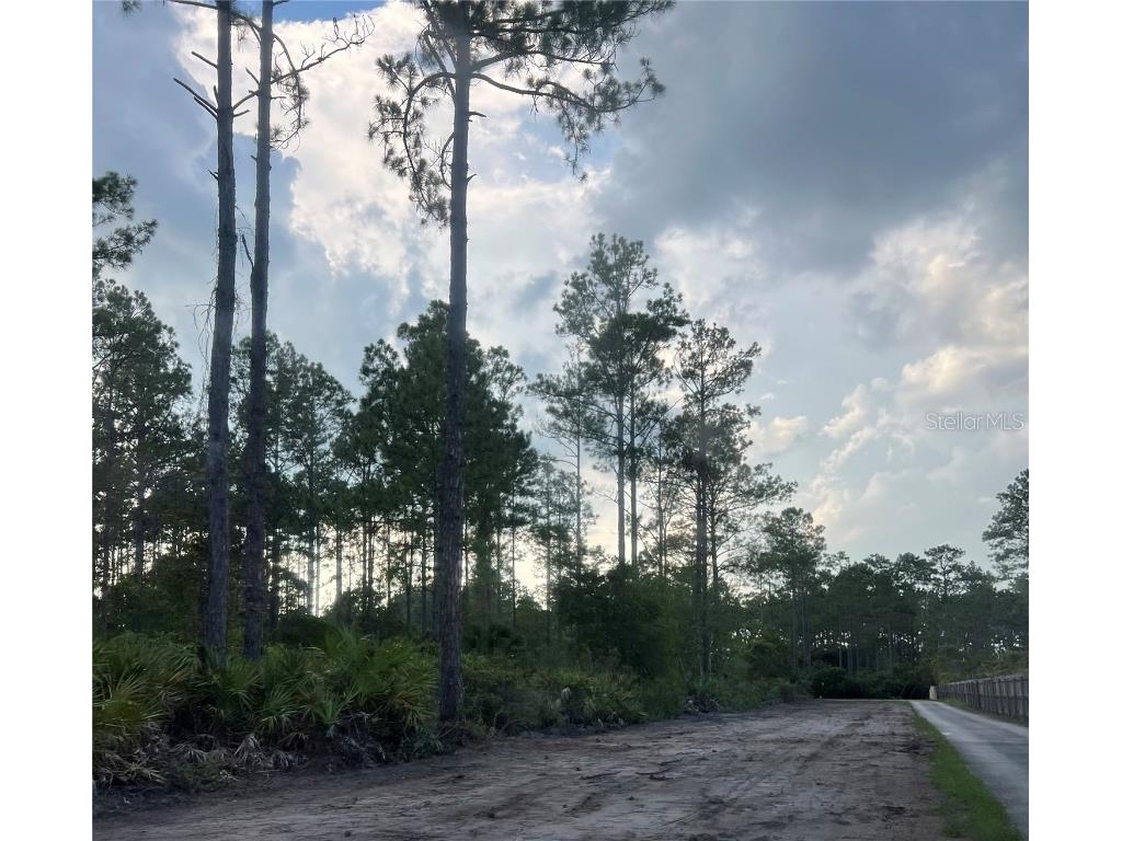 11 Seward Trail E Palm Coast FL 32164 FC303121 image1